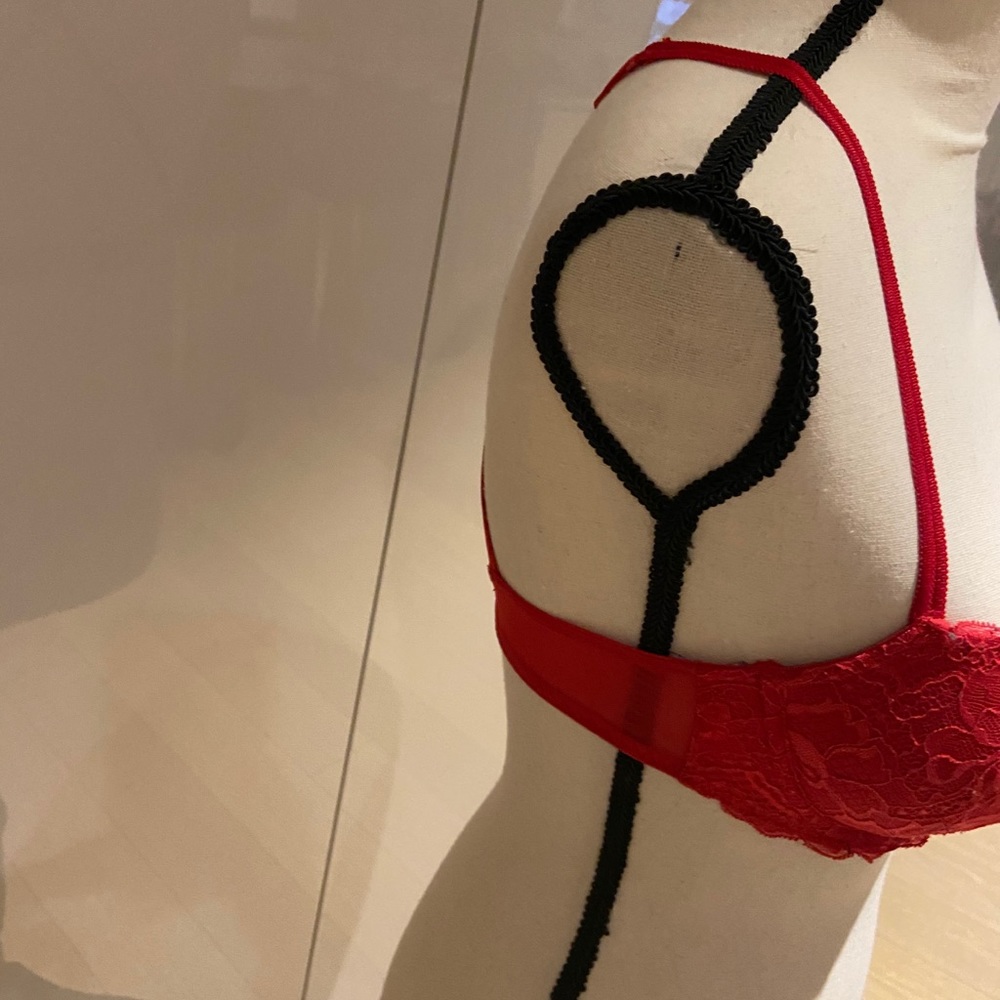Red Lace Bra - Picture 3 of 8